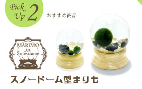 snowdome